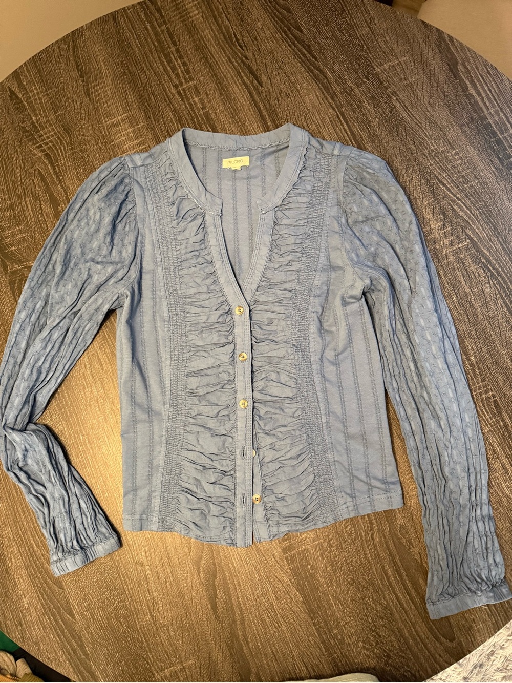 PILCRO Cottagecore Ruched Long Sleeve Top in Dusty Blue